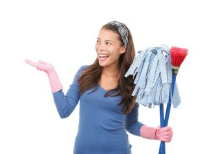 sexy women cleaning